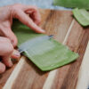 Aloe Vera Pflanze – Bild 5