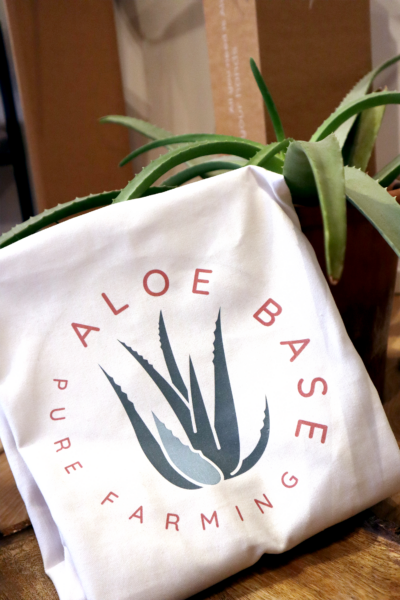 Aloe Barbardensis Miller Marika Sokol Esterházygasse 11A Wien Österreich